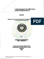 Berliana P. Simanjuntak: Pengaruh Kekurangan Zat Besi Pada Mukosa Rongga Mulut, 2002. USU E-Repository © 2008