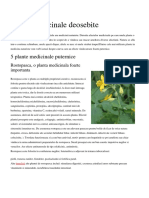 Plante Medicinale Deosebite