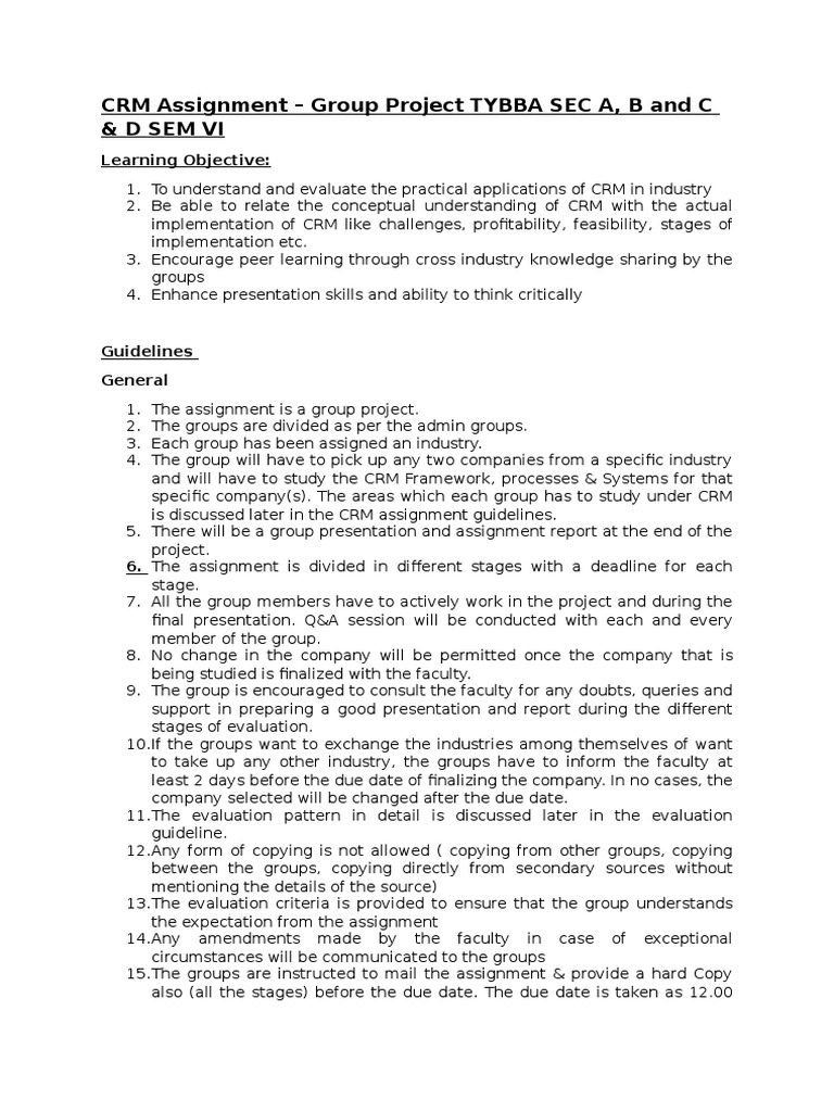 CRM Assignment Project TYBBA | PDF | Customer Relationship Management ...
