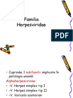 herpesviridae 