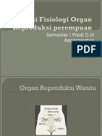 Anatomi Fisiologi Organ Reproduksi Perempuan