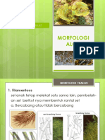 MORFOLOGI-ALGA-2.pdf
