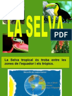 Selva