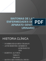 Sintomas Enfermedades Aparato Genitourinario