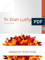 Tri Diah Lutfiyani