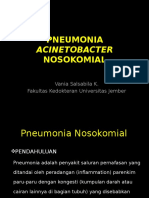 Pneumonia Acinetobacter Nosokomial