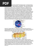 Download Anatomi Fisiologi Sel Dan Jaringan Kelompok Anatomi by Ameer Infinity Chavez SN299641881 doc pdf