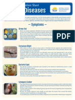 Apricot Diseases Diagnostic Key PDF
