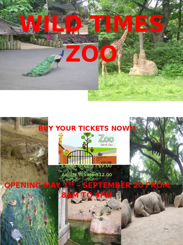 Wild Times Zoo PDF