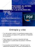 Cancer y Entropia