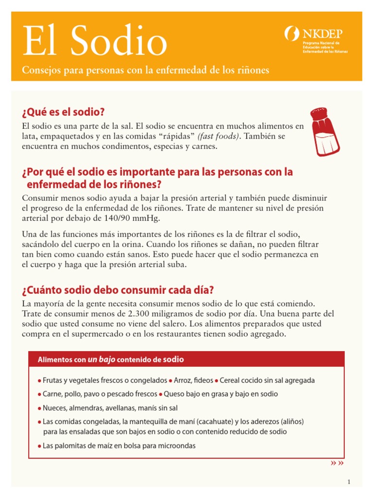 El Sodio en Los Alimentos | PDF | sal | Alimentos