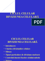  Diviziunea Celulara