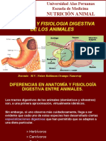 Nutricion Clase 004 - Anat.y Fis. Digestiva