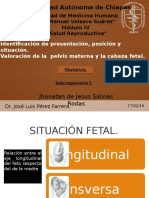 Identificación de Presentación. Posición y Situación