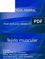 Fisiologia Animal