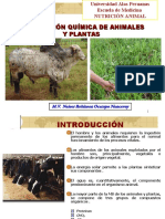 Nutricion Animal Composicionquimica Animales y Plantas