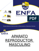 3. AP. Rep. Masculino Enfa