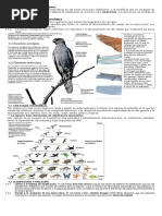 Criterios y categorías taxonómicas.docx