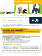 Congratulations!: What Type of Dog Suits Your Lifestyle?