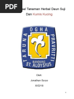 Download Proposal Tanaman Herbal Daun Suji Dan Kumis Kucingdocx by Jonathan Suryo SN299740336 doc pdf