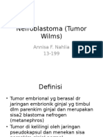 Nefroblastoma (Tumor Wilms)