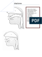 Punti D'articolazione