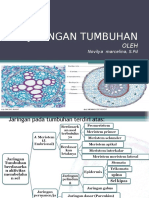 jaringan-tumbuhan1 (1)