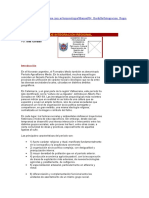 4 Periodo Medio o de Integracion Regional