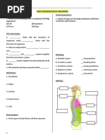 Worksheet - Human Anatomy - Nervous System