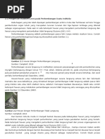 Download makalah metamorfosis by Arei Laxmie SN299825300 doc pdf