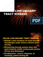 Feline Low Urinary Tract Disease