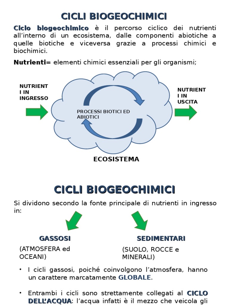 Cicli Biogeochimicief | PDF, image size:768x1024