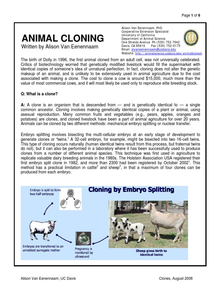 a research paper about animal cloning
