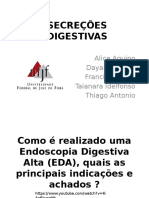 Secreções Digestivas (1671) .PPTX Editado Com Slides Alice e Thiago