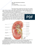 Afecções Renais na Infância: ITU, Síndrome Nefrótica e Nefrítica