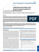 5 Cichoric acid production from hairy root cultures of Echinacea purpurea grown in amodified airlift bioreactor