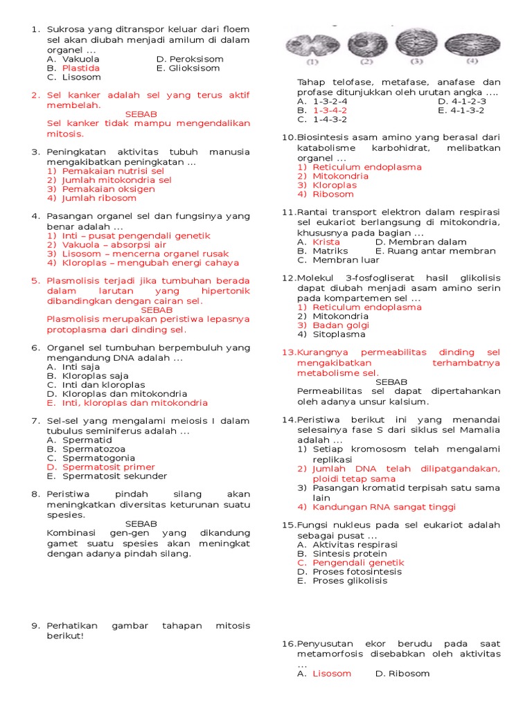 Biologi Sel