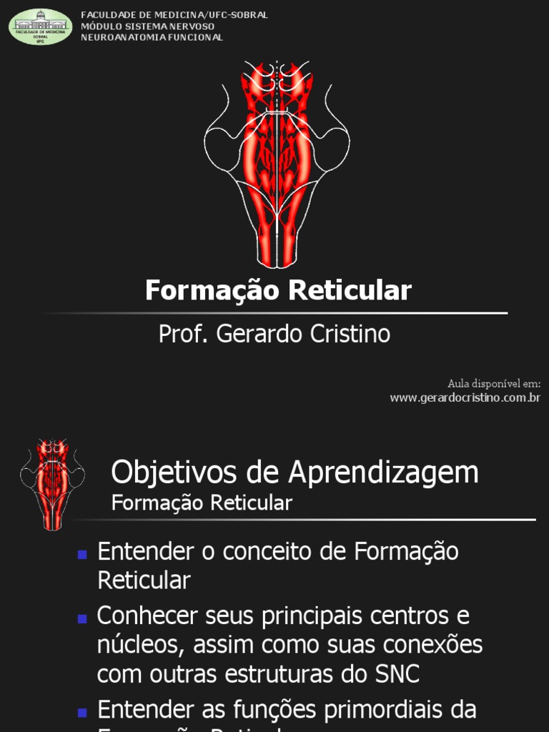 T4 Formacao Reticular | PDF | Tronco cerebral | Neurociência