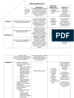 Matriz Del Marco Lógico