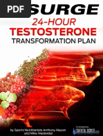 Download 24-Hour Testosterone Transformation Fix by Augusto Torres SN299889892 doc pdf