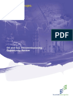 Oil and Gas Decommissioning Opportunities 2005