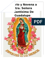 Novena Y Rosario a Nuestra Señora de Guadalupe_un Dia