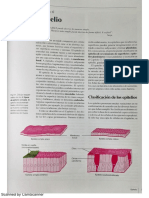 Histologia Geneser Cap. 6