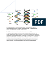 Acidos Nucleicos