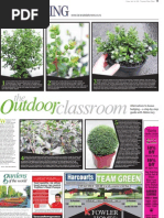 Download Alternatives to buxus hedging  a step-by-step guide with Abbie Jury by Michael Jeans SN29990837 doc pdf