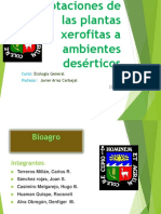 Bioagro - Adaptaciones de Las Xerofitas PDF