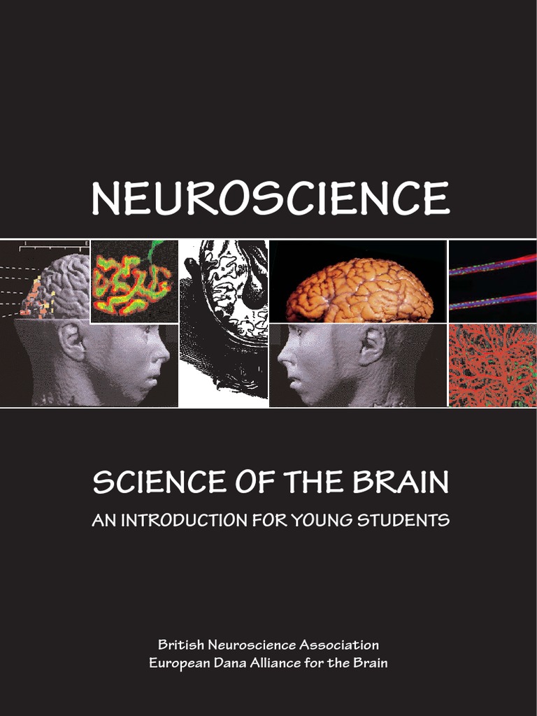 Science of The Brain | PDF