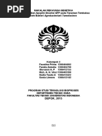 Download Rekayasa Genetika Pada Tembakau by Vinci Kurnia SN299932173 doc pdf