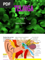 Biologi Telinga