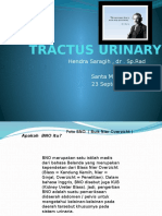 Tractus Urinary Update New